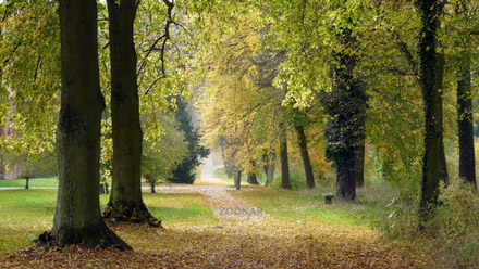 Herbstlicher Weg am Kloster Chorin © Zoonar.com/Konrad Weiß